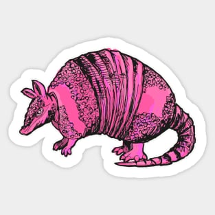 Pink Armadillo Sticker